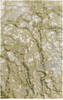 Surya Remarque Green 20 X 30 Area Rug RRQ2009-23 800-85185 Thumb 0
