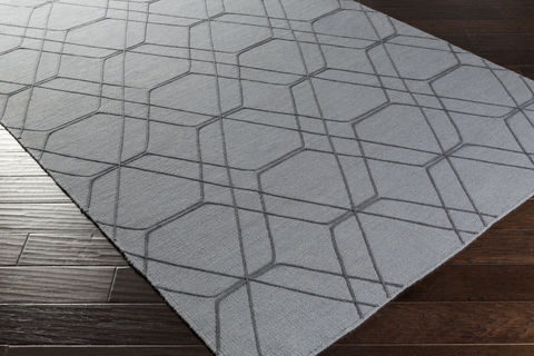 Surya Seabrook Grey 50 X 76 Area Rug SBK9023-576 800-85405 Image 1