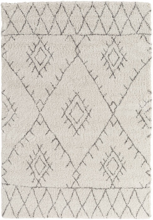 Surya Wilder White 53 X 77 Area Rug WDR2003-5477 800-87587 Image 0