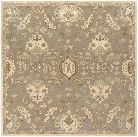 Surya Caesar Brown Square 99 X 99 Area Rug CAE1167-99SQ 800-88598 Image 0