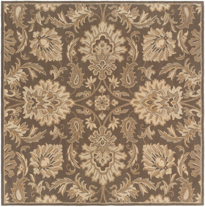 Surya Caesar Brown Square 60 X 60 Area Rug CAE1174-6SQ 800-88640 Image 0