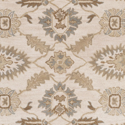 Surya Caesar White Round 60 X 60 Area Rug CAE1178-6RD 800-88687 Image 1