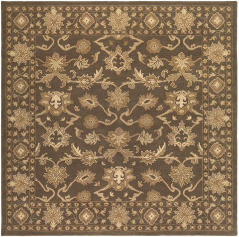 Surya Caesar Brown Square 40 X 40 Area Rug CAE1179-4SQ 800-88701 Image 0