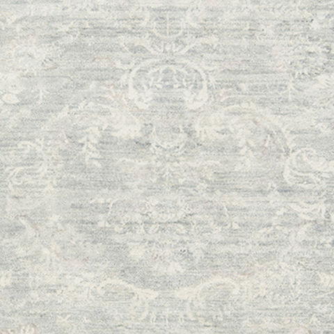 Surya Cumberland Grey 90 X 130 Area Rug CBD1001-913 800-88896 Image 2