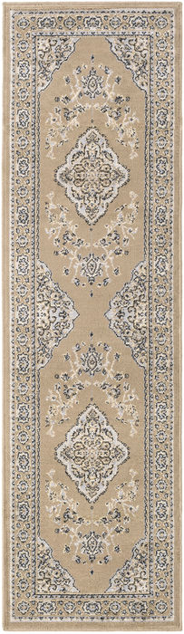 Surya Paramount Grey Runner 22 X 76 Area Rug PAR1056-2276 800-88919 Image 0