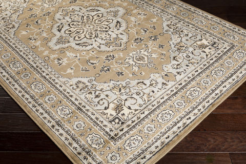 Surya Paramount Grey 810 X 129 Area Rug PAR1056-810129 800-88921 Image 1