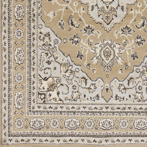 Surya Paramount Grey 810 X 129 Area Rug PAR1056-810129 800-88921 Image 2
