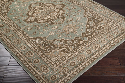 Surya Paramount Green 67 X 96 Area Rug PAR1006-6796 800-88976 Image 1