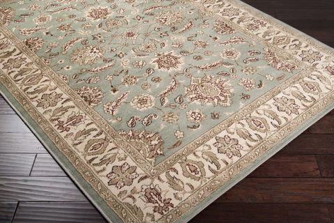 Surya Paramount White 67 X 96 Area Rug PAR1028-6796 800-88978 Image 1