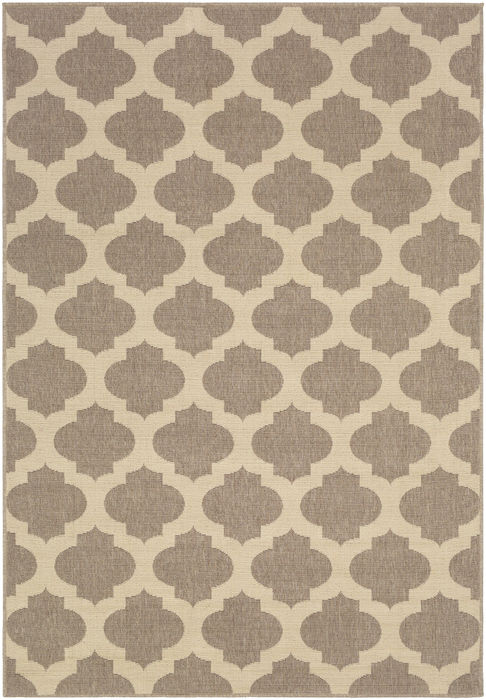 Surya Alfresco Multicolor 36 X 56 Area Rug ALF9649-3656 800-89009 Image 0