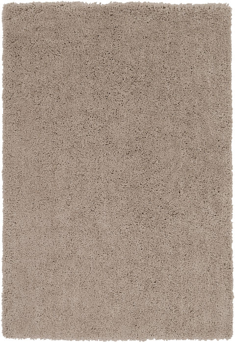 Surya Goddess Brown 50 X 76 Area Rug GDS7512-576 800-89069 Image 0