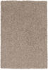 Surya Goddess Brown 50 X 76 Area Rug GDS7512-576 800-89069 Thumb 0
