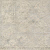 Surya Euphoric Grey 60 X 90 Area Rug EUP1902-69 800-89102 Thumb 1