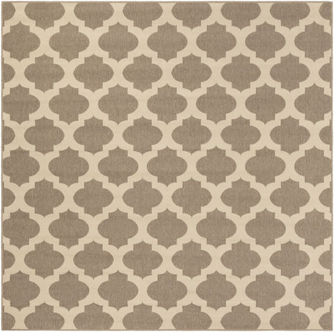 Surya Alfresco Multicolor Square 73 X 73 Area Rug ALF9649-73SQ 800-89323 Image 0