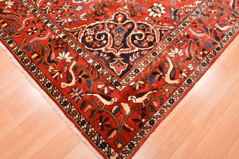 Bakhtiar Red Hand Knotted 70 X 105 Area Rug 100-89787 Image 7