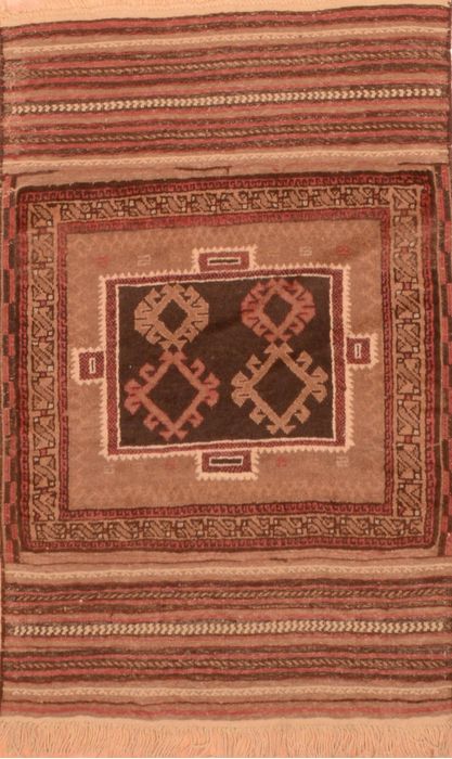 Baluch Brown Hand Knotted 27 X 45 Area Rug 100-89947 Image 0