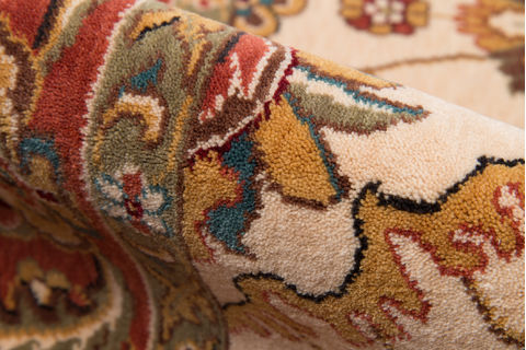 Momeni PERSIAN GARDEN Beige 20 X 30 Area Rug PERGAPG-10IVY2030 804-94501 Image 3