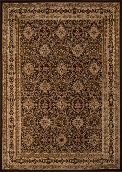Momeni ROYAL Brown 20 X 30 Area Rug ROYALRY-01BRN2033 804-94728 Image 0