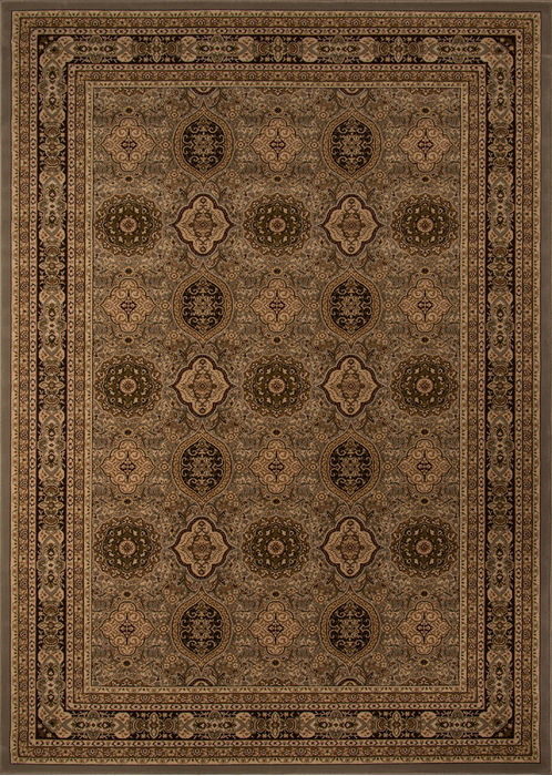 Momeni ROYAL Brown 50 X 71 Area Rug ROYALRY-01SLT5377 804-94759 Image 0
