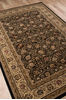 Momeni ROYAL Brown 50 X 71 Area Rug ROYALRY-02BLK5377 804-94768 Thumb 2
