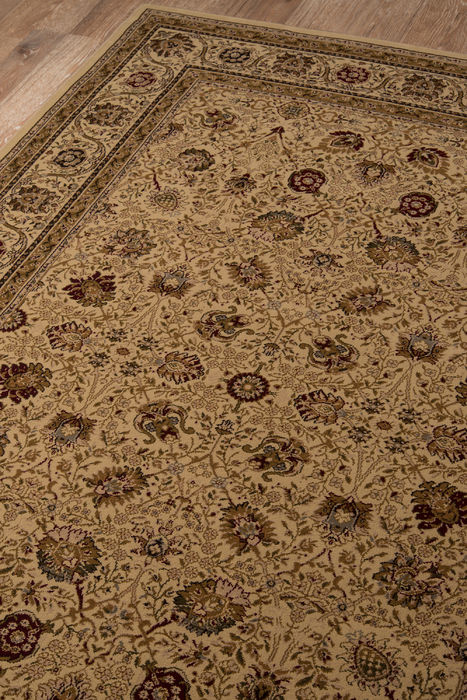 Momeni ROYAL Brown 20 X 30 Area Rug ROYALRY-02IVY2033 804-94800 Image 2
