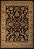 Momeni ROYAL Brown 70 X 100 Area Rug ROYALRY-04BRN7AAA 804-94878 Thumb 0
