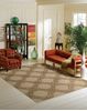 Nourison AMBROSE Beige 39 X 59 Area Rug 99446046987 805-95979 Thumb 1