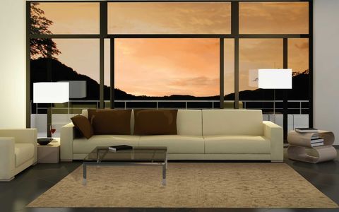 Nourison AMBROSE Brown 39 X 59 Area Rug 99446047144 805-96001 Image 1