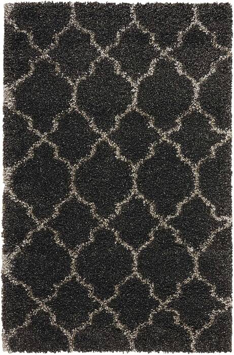 Nourison Amore Grey 32 X 50 Area Rug 805-96068 Image 0