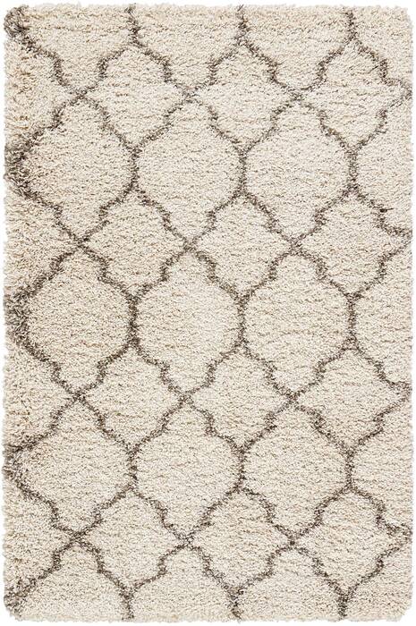 Nourison Amore Beige 32 X 50 Area Rug 805-96080 Image 0