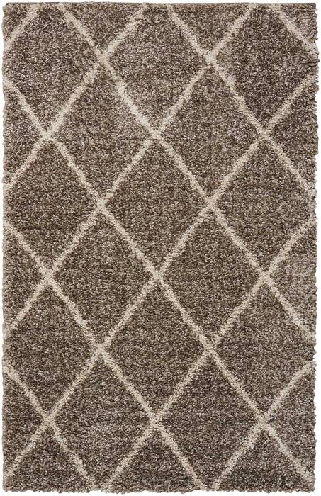 Nourison Brisbane Beige 82 X 100 Area Rug 805-96718 Image 0