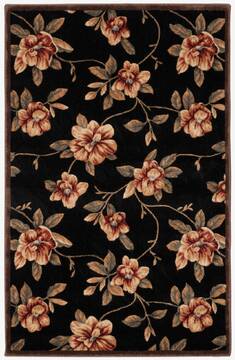 Nourison Cambridge Black 3'6" X 5'6" Area Rug  805-96802