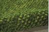 Nourison Fantasia Green Runner 23 X 80 Area Rug 805-97893 Thumb 2