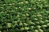 Nourison Fantasia Green Runner 23 X 80 Area Rug 805-97893 Thumb 4