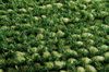 Nourison FANTASIA Green 36 X 56 Area Rug 99446224811 805-97894 Thumb 2
