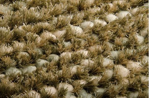 Nourison Fantasia Grey Runner 23 X 80 Area Rug 99446381019 805-97905 Image 2