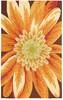 Nourison Fantasy Multicolor 19 X 29 Area Rug 805-97927 Thumb 0