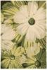 nourison_fantasy_collection_green_area_rug_98023