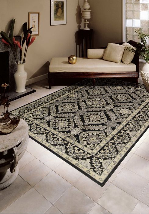 Nourison GRAPHIC ILLUSIONS Black 53 X 75 Area Rug 99446221803 805-98614 Image 1
