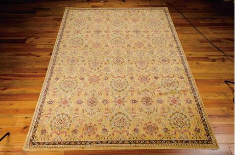 Nourison Ancient Times Yellow 39 X 59 Area Rug 805-99882 Image 2